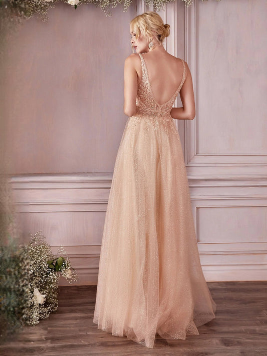 Champagne tulle A-line dress with beaded floral V-back and spaghetti straps, floor-length