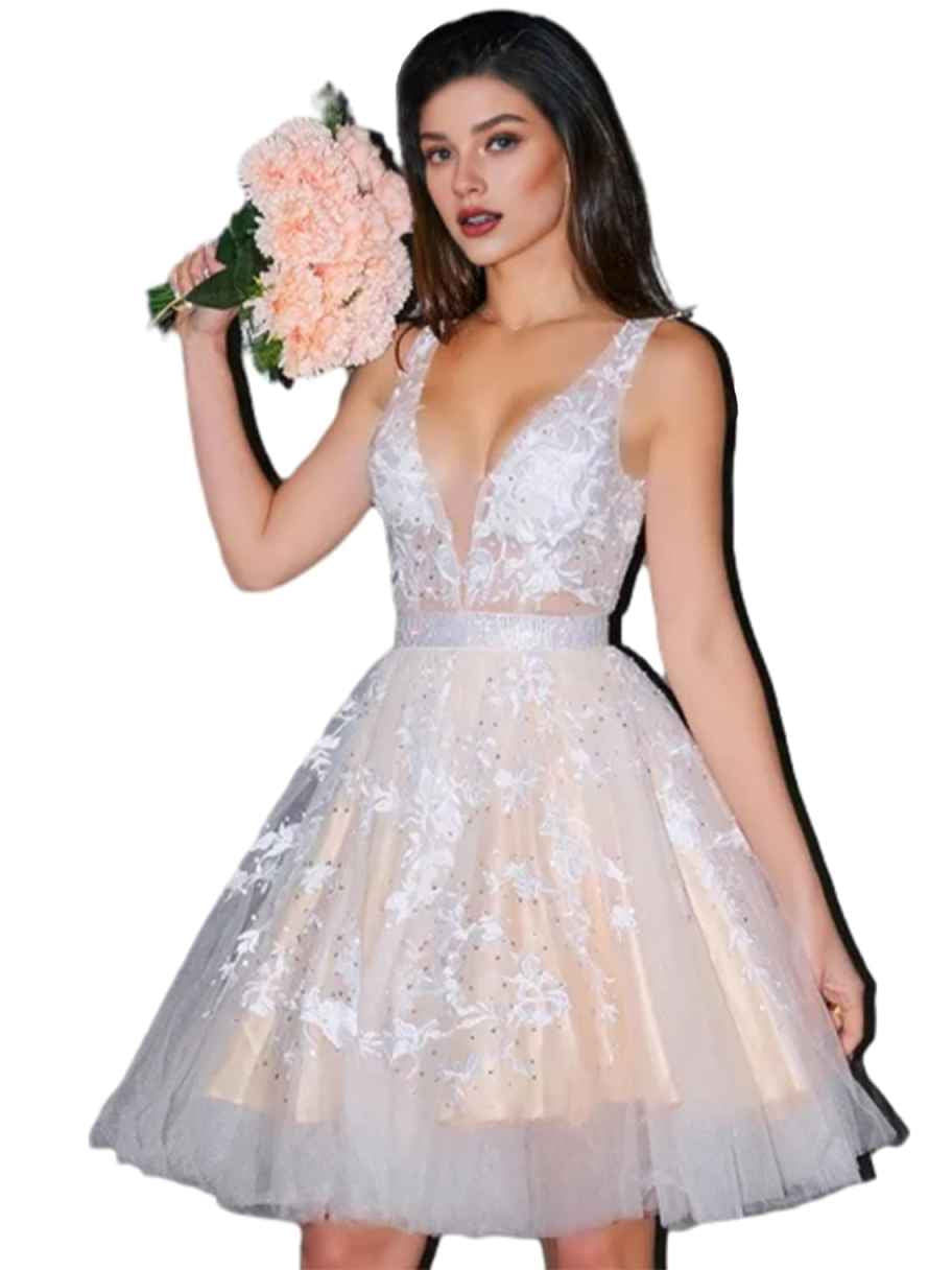 Light nude embroidered V-neck A-line mini tulle dress, sleeveless, layered mesh skirt