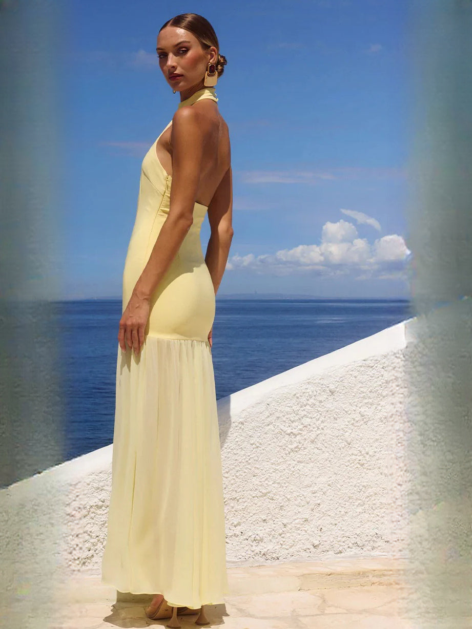 Butter fit-and-flare maxi formal dress with open back, full-length back view