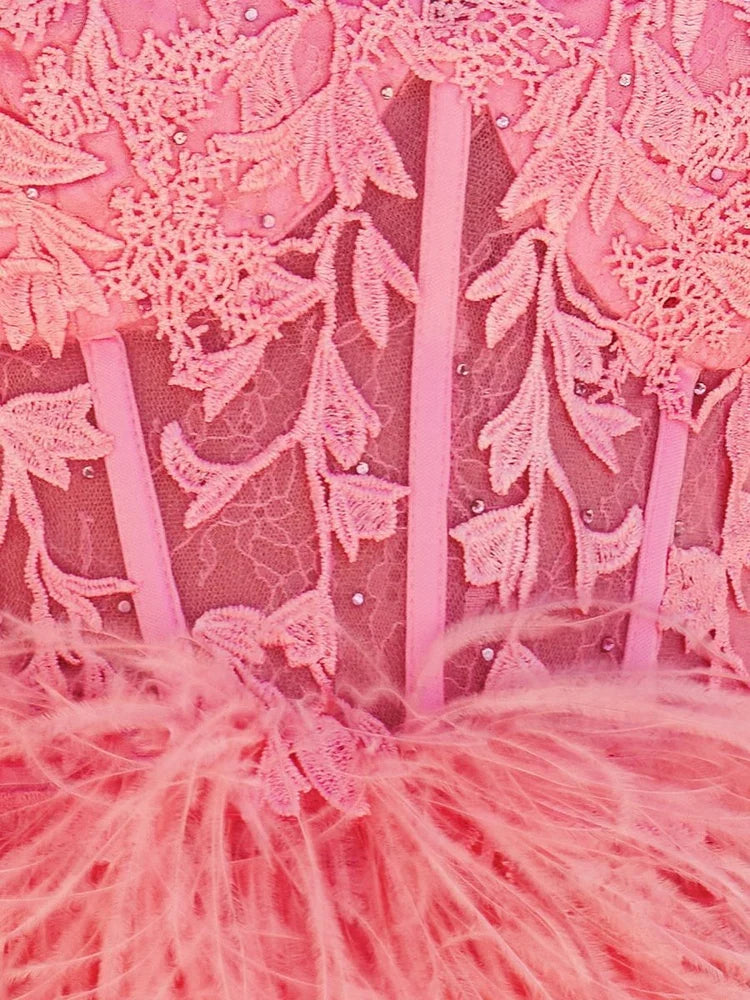 Pink lace corset bodice with sheer panel details and feather fringe
