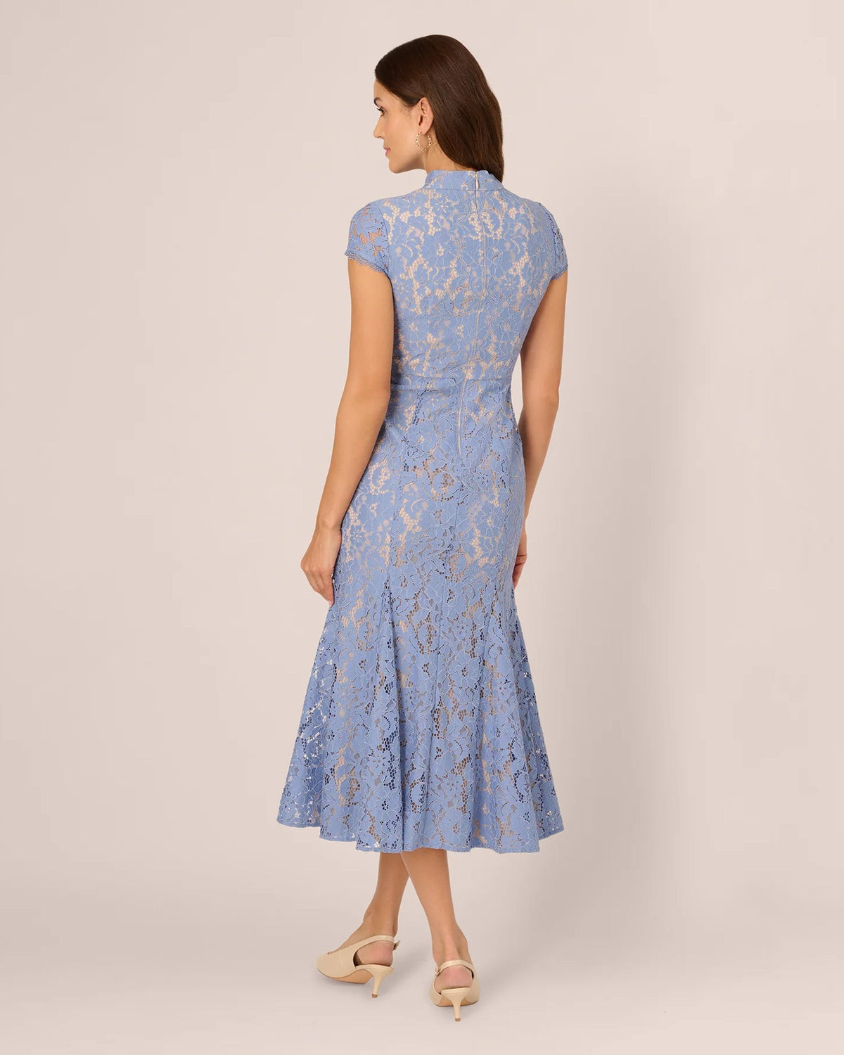 Blue lace cap-sleeve A-line midi dress from back, fitted waist and flared skirt