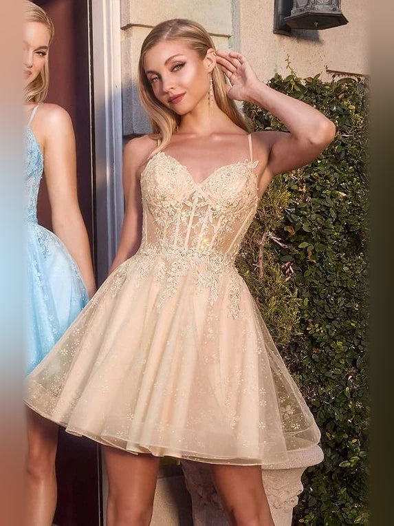 Champagne sweetheart corset mini tulle dress with lace bodice and A-line skirt