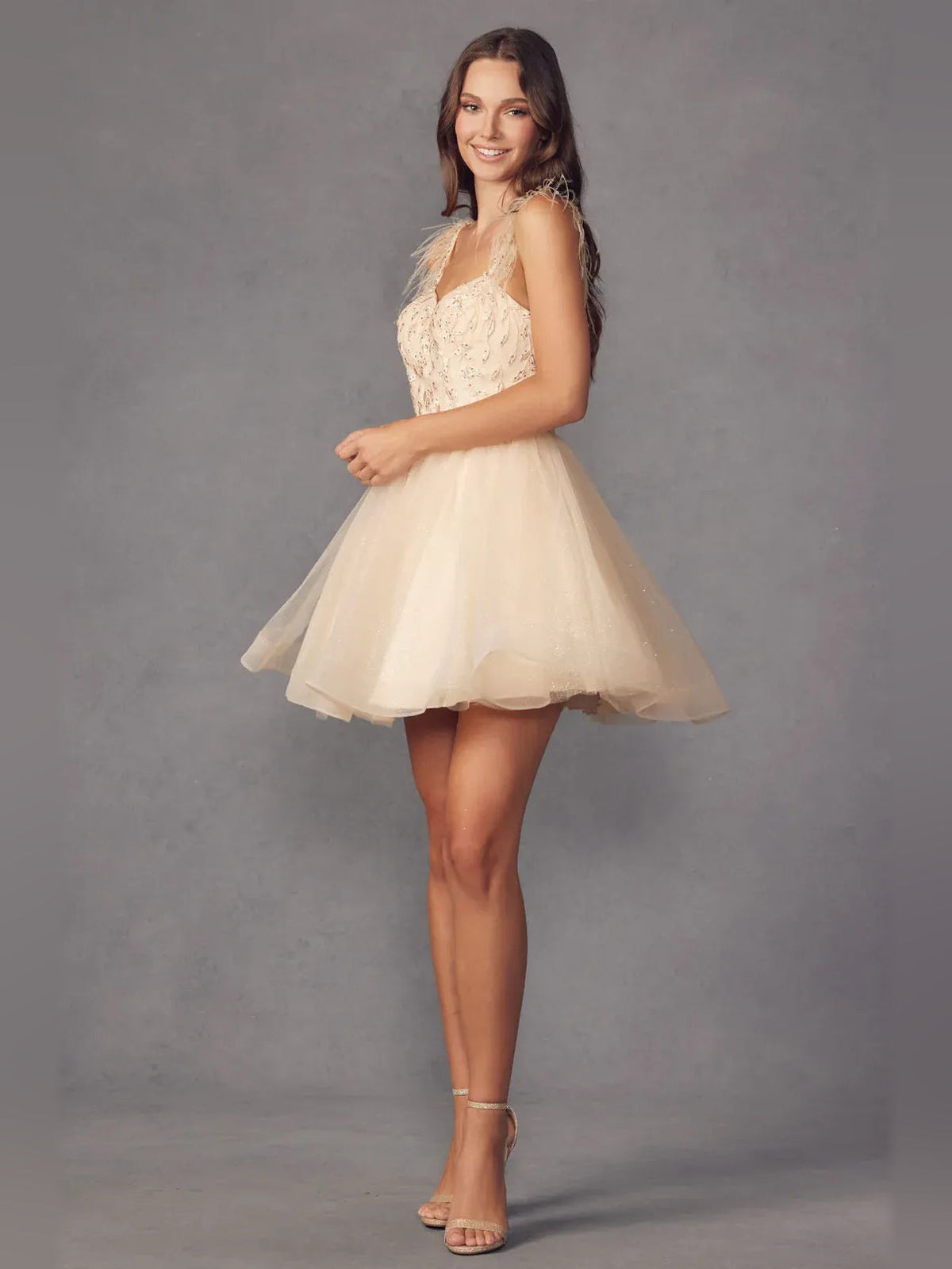 Cream glitter A-line mini tulle dress, sweetheart lace bodice, sleeveless