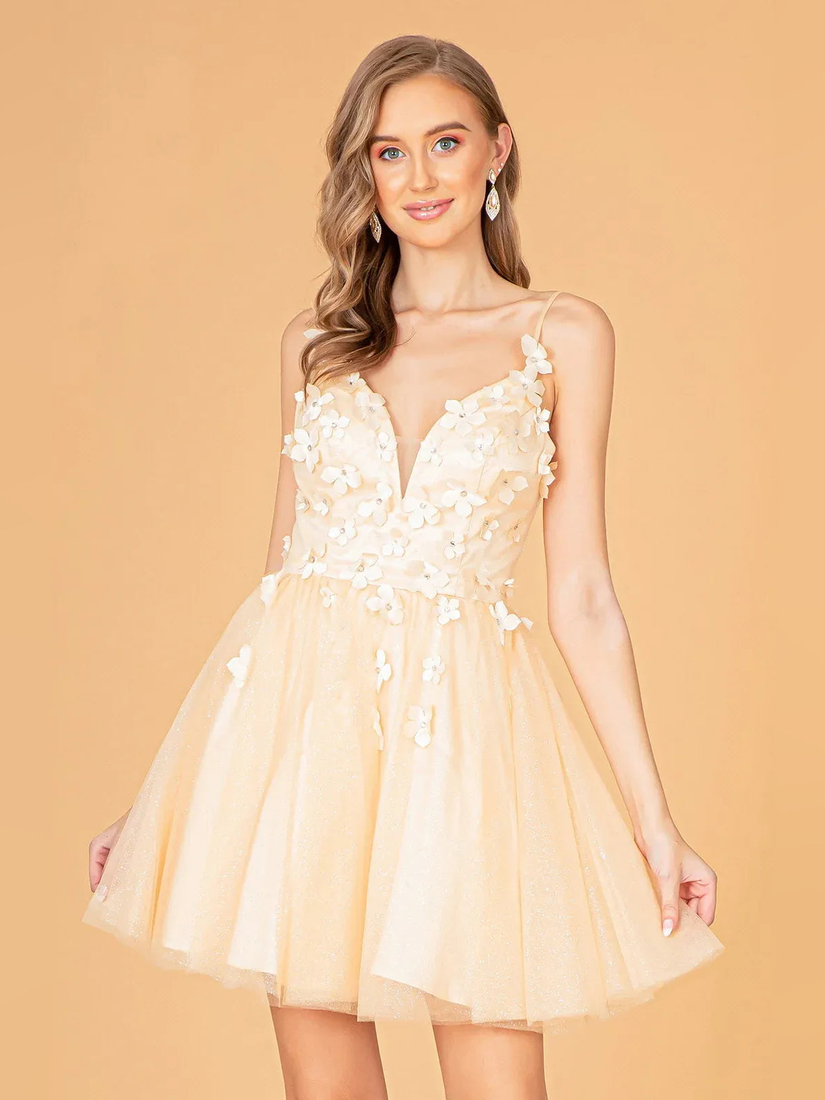 Champagne floral-applique V-neck A-line mini tulle dress with corset bodice